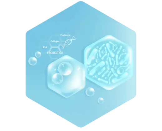 PROBIOTIC MANUFACTURERS IN HYDERABAD