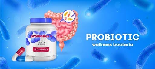 Probiotic Granules Manufacturer In Usa